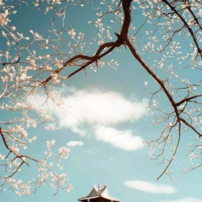 188金宝搏app下载