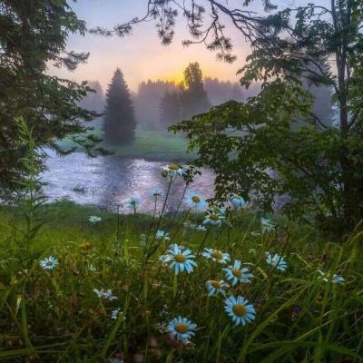 ayx体育在线登录手机app下载