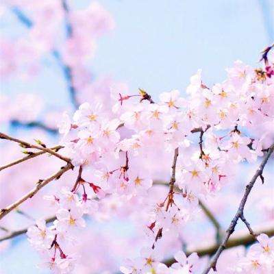 彩票1.999最高倍率