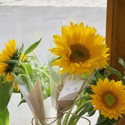 电玩城金鲨银鲨手机app下载